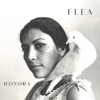A Plea album cover