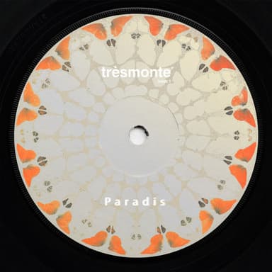 The Art of Noticing album cover