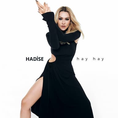 Hay Hay album cover