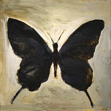 Black Butterfly album cover