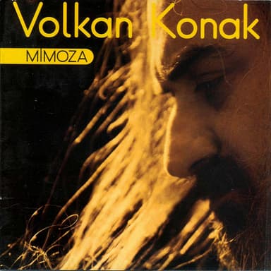 Mimoza Çiçeğim album cover