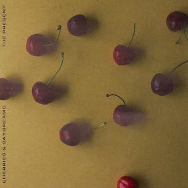 The Present album cover